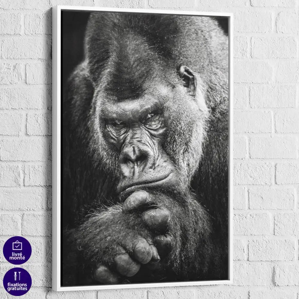 Tableau Gorille Le Magnifique Cadre blanc