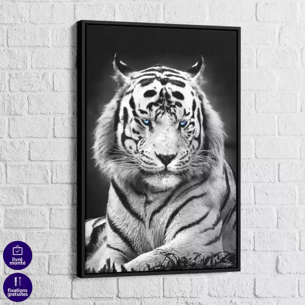 Tableau Tigre Blanc Yeux Bleus - Montableaudeco