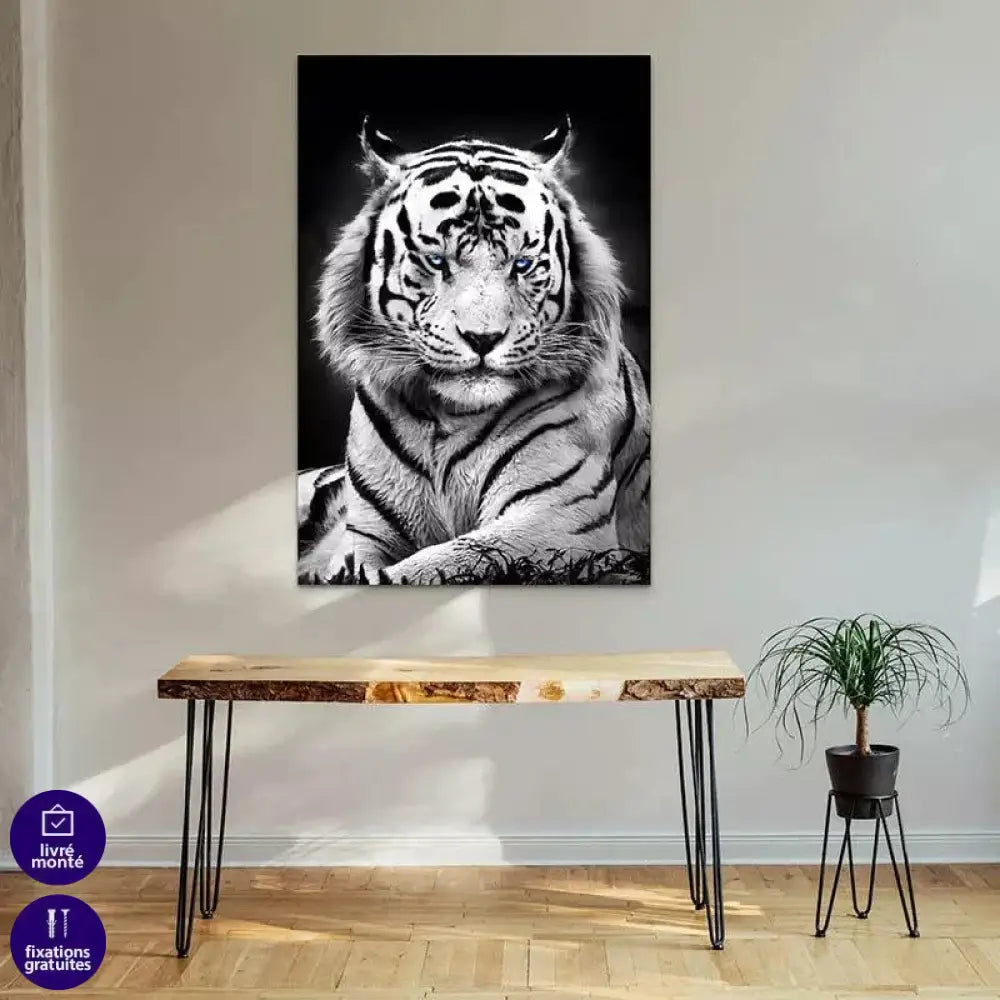 Tableau Tigre Blanc Yeux Bleus - Montableaudeco