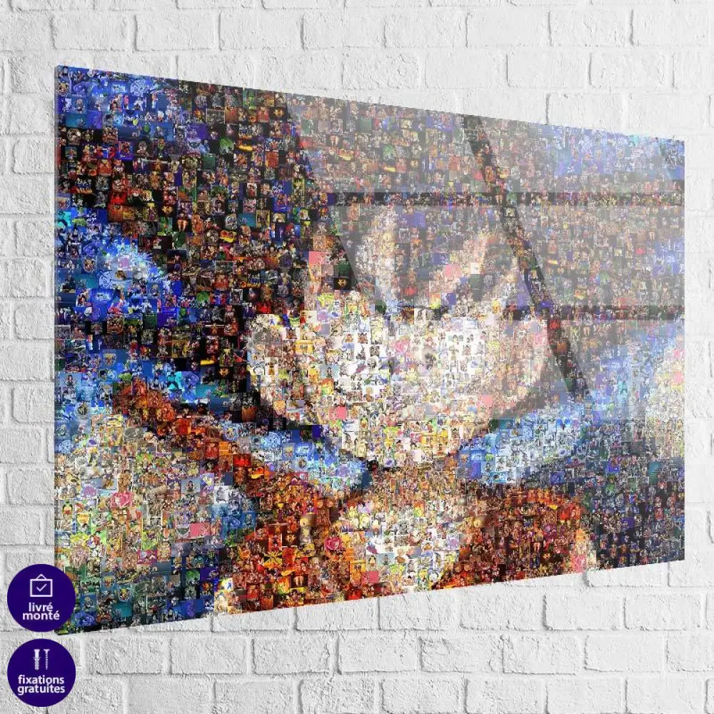 Tableau Dragon Ball Goku Approchez-vous - Montableaudeco