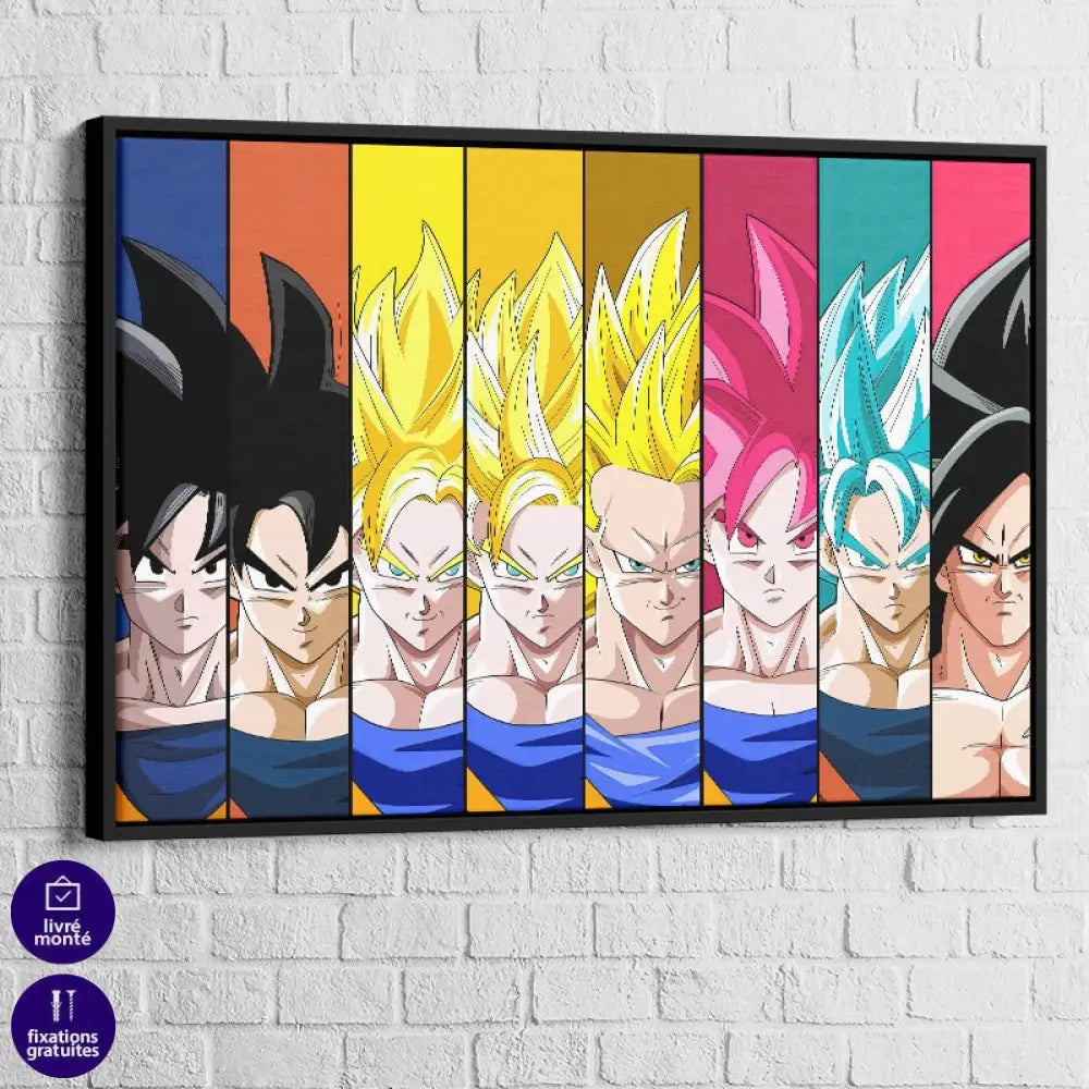 Tableau Dragon Ball Multi Cadre noir
