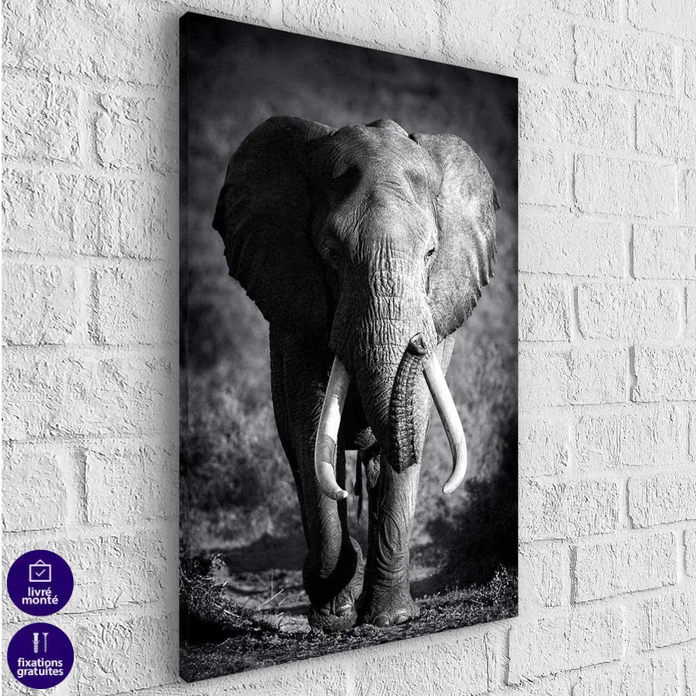 Tableau Éléphant Noir et Blanc Le Grand Male - Montableaudeco