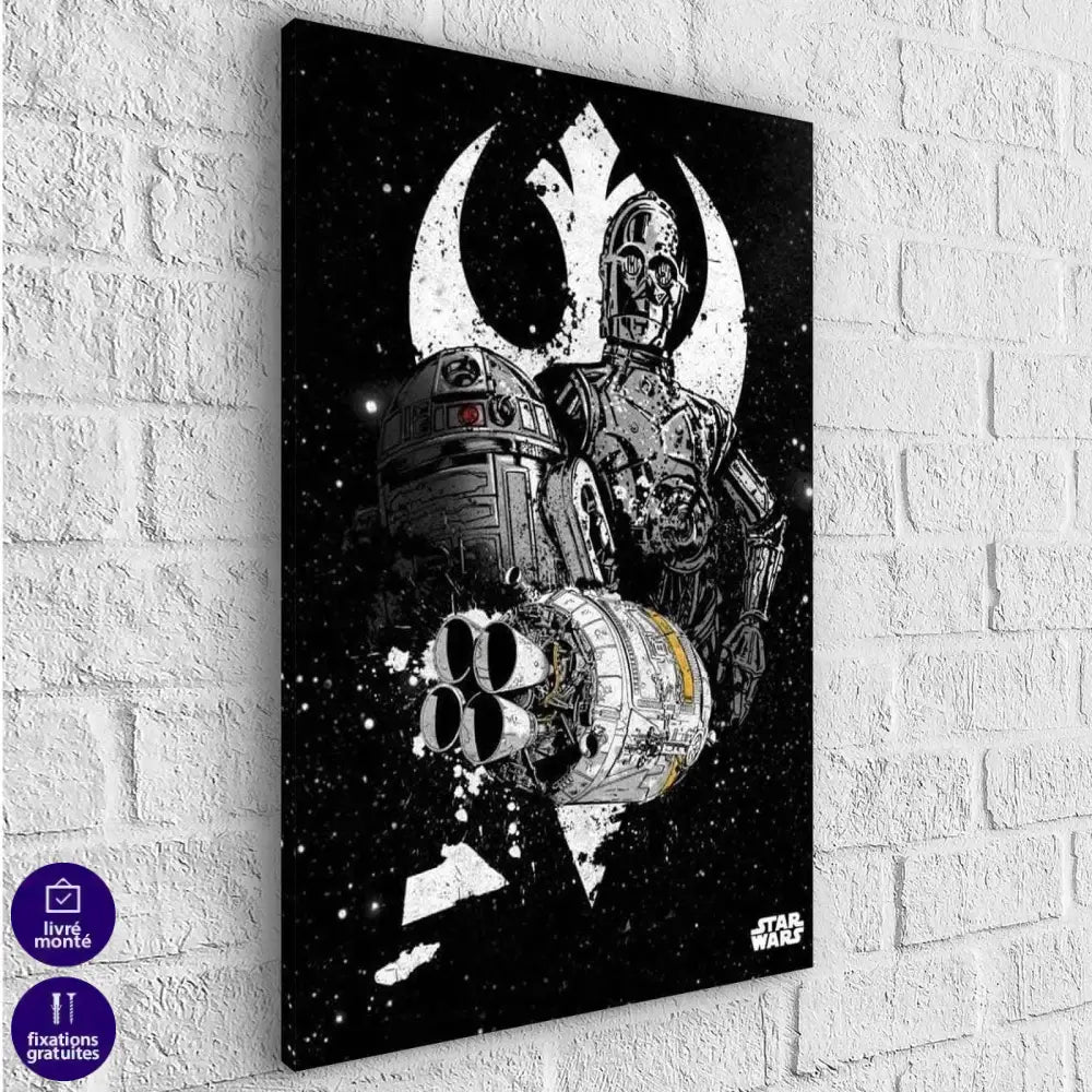 Tableau Star Wars Noir et Blanc C-3PO - Montableaudeco