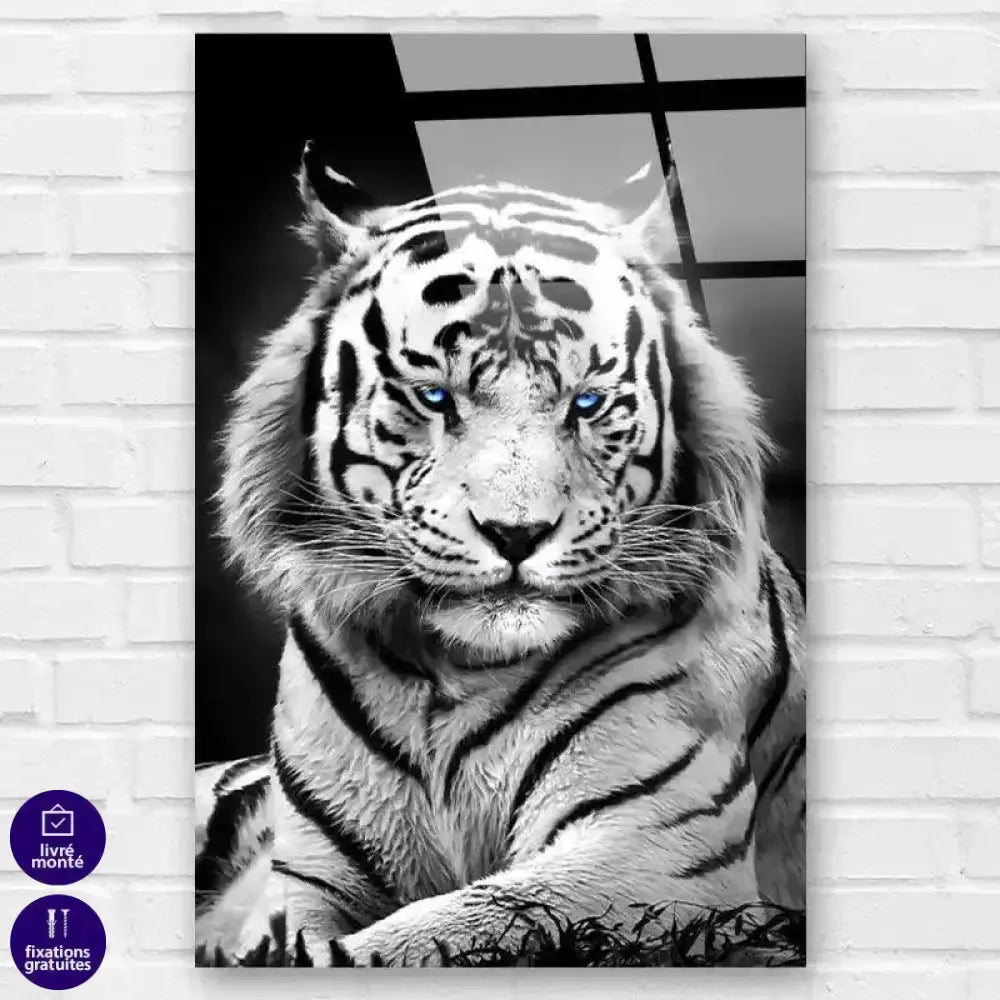 Tableau Tigre Blanc Yeux Bleus - Montableaudeco