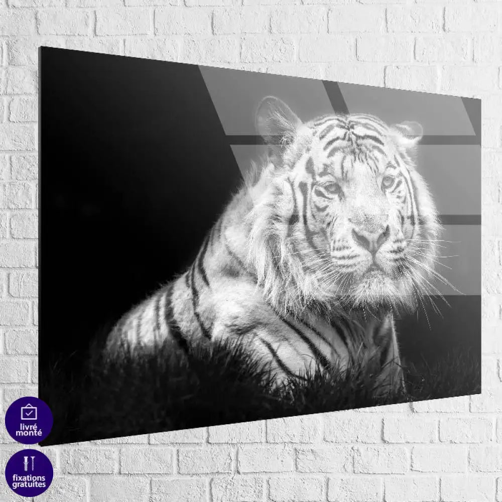 Tableau Tigre noir et blanc - Montableaudeco