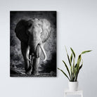 Tableau Éléphant Noir et Blanc Le Grand Male - Montableaudeco