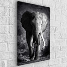 Tableau Éléphant Noir et Blanc Le Grand Male - Montableaudeco