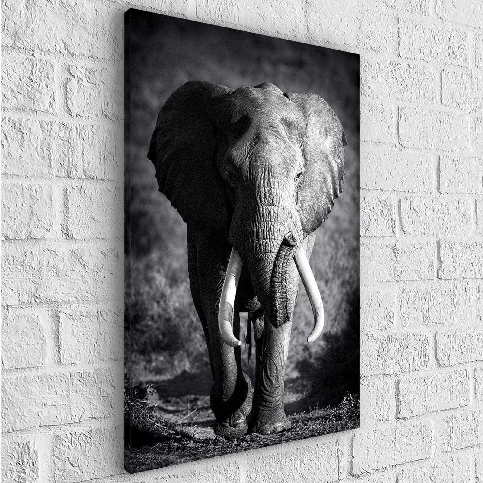 Tableau Éléphant Noir et Blanc Le Grand Male - Montableaudeco