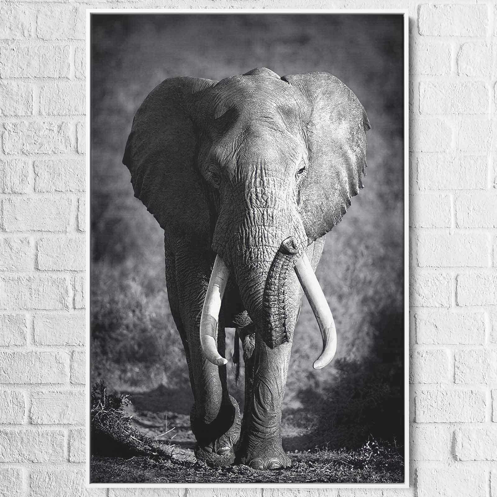 Tableau Éléphant Noir et Blanc Le Grand Male - Montableaudeco