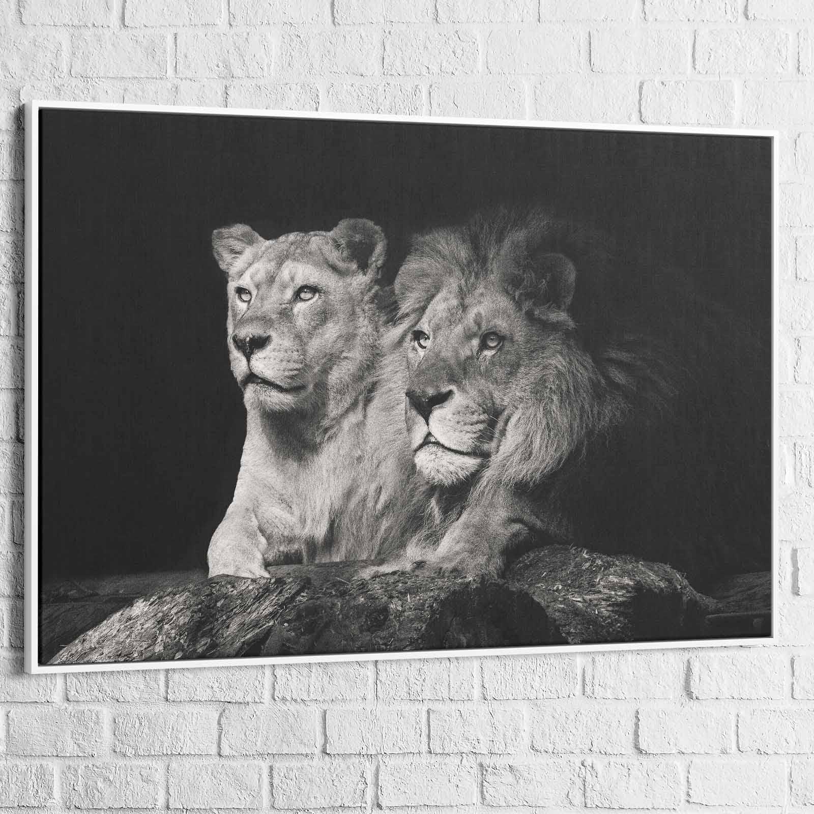 Tableau Lion et Lionne Noir et Blanc - Montableaudeco