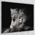 Tableau Lion et Lionne Noir et Blanc - Montableaudeco