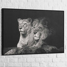 Tableau Lion et Lionne Noir et Blanc - Montableaudeco